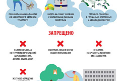 Памятка для владельцев домашних животных